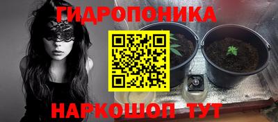 jwh Сланцы